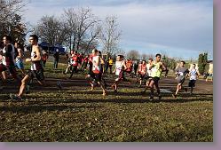 Begles 15.12.13 01 1021 * 679 x 453 * (167KB)